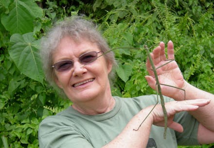 Glenda Larke