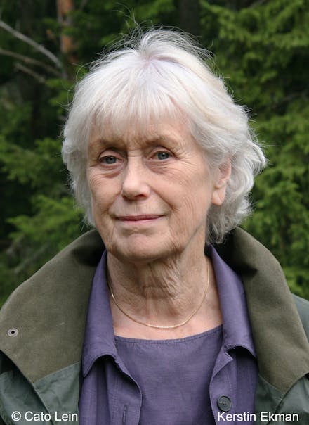 Kerstin Ekman
