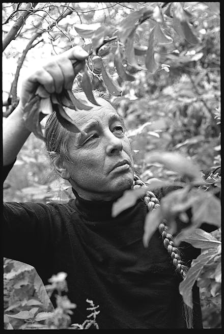 Bob Flowerdew