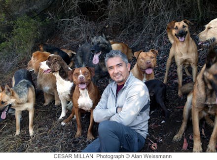 Cesar Millan