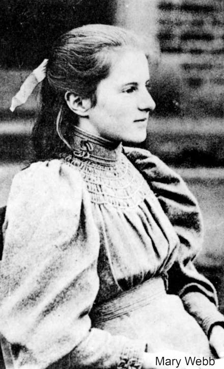 Mary Webb