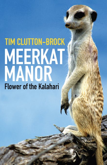Meerkat Manor