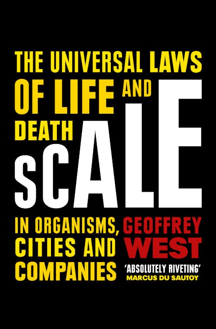 Scale