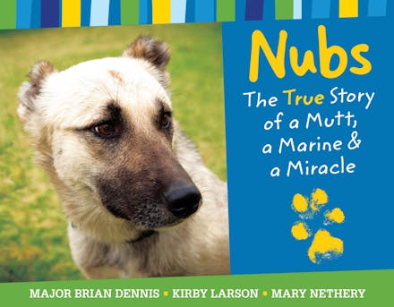 Nubs: The True Story