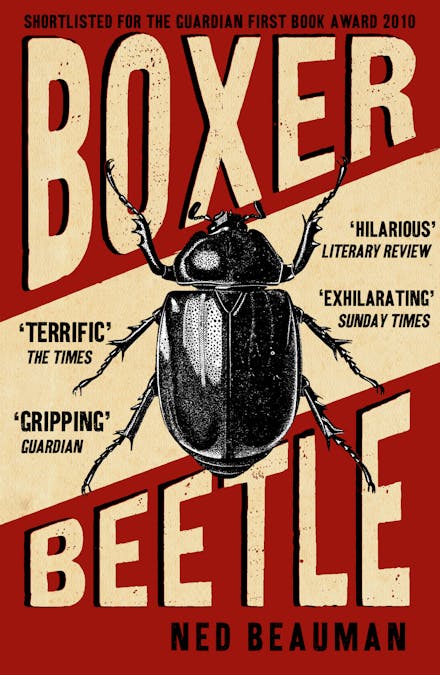 Boxer, Beetle