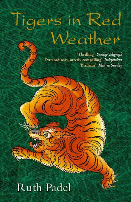 Tigers In Red Weather
