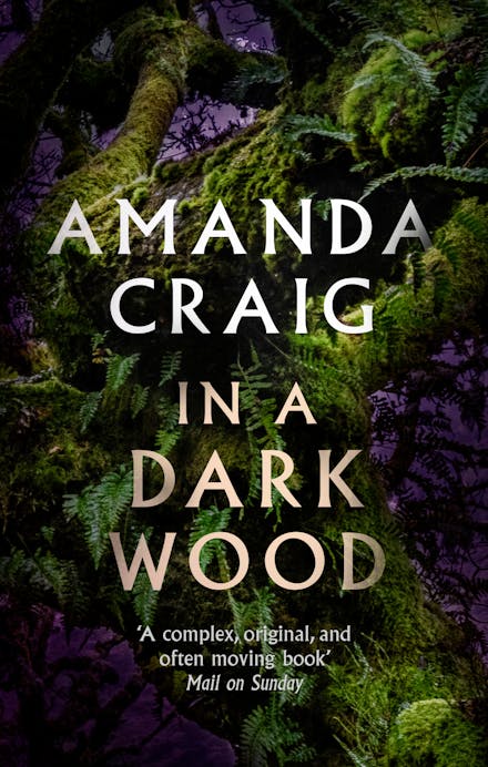 In a Dark Wood