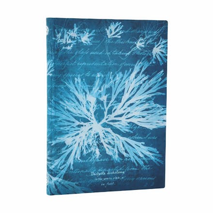 Sea Flowers (Anna Atkins  Cyanotypes) Midi Lined Softcover Journal (Elastic Band Closure)