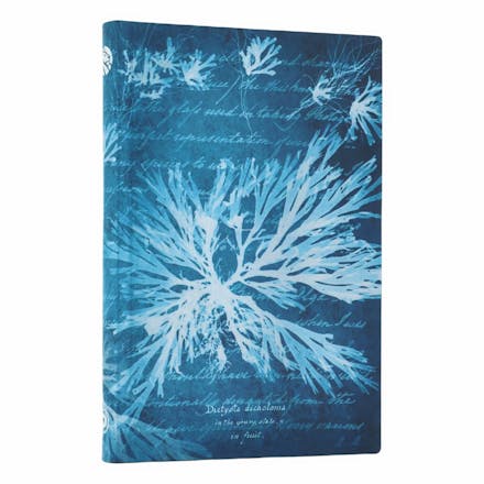 Sea Flowers (Anna Atkins  Cyanotypes) Mini Lined Softcover Journal (Elastic Band Closure)