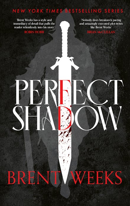 Perfect Shadow
