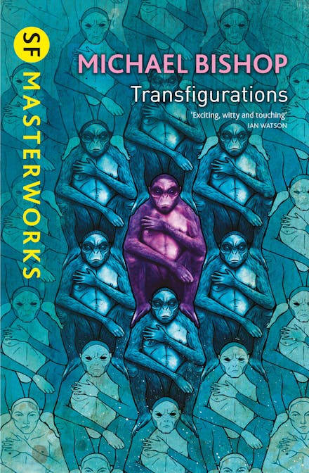 Transfigurations