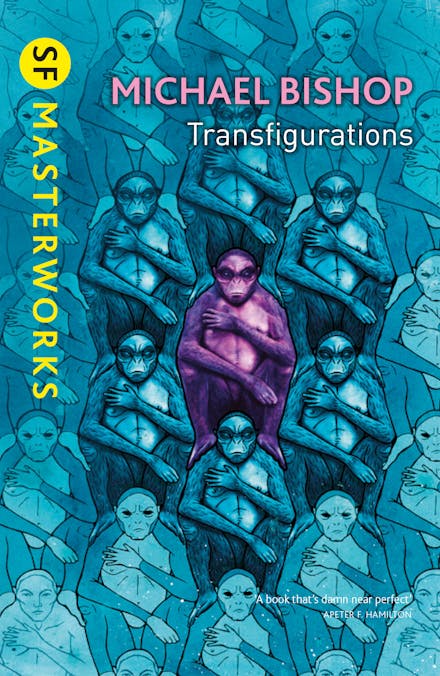 Transfigurations