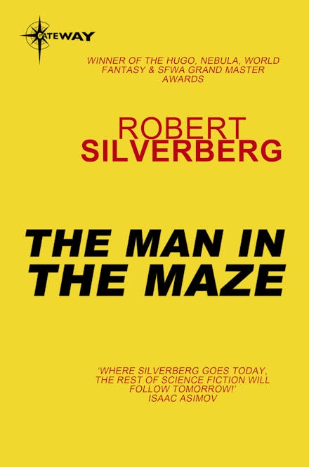 The Man In The Maze