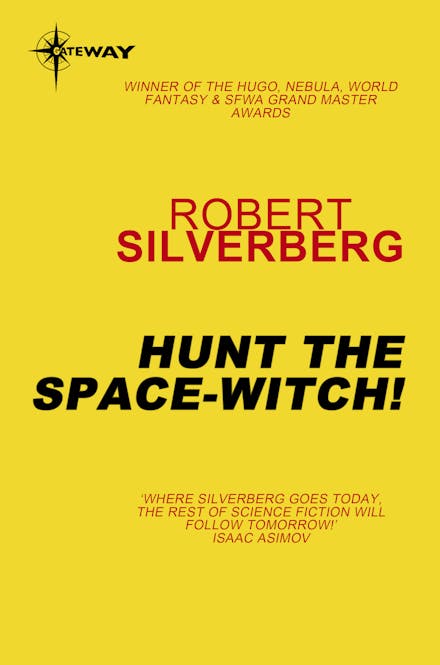Hunt the Space-Witch!