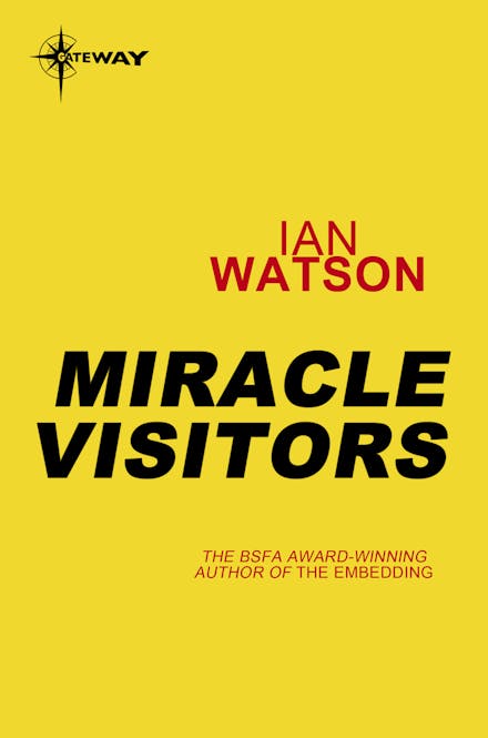 Miracle Visitors