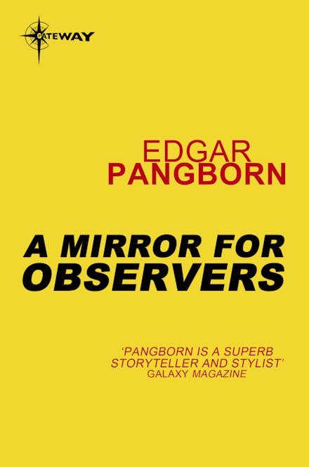 A Mirror for Observers