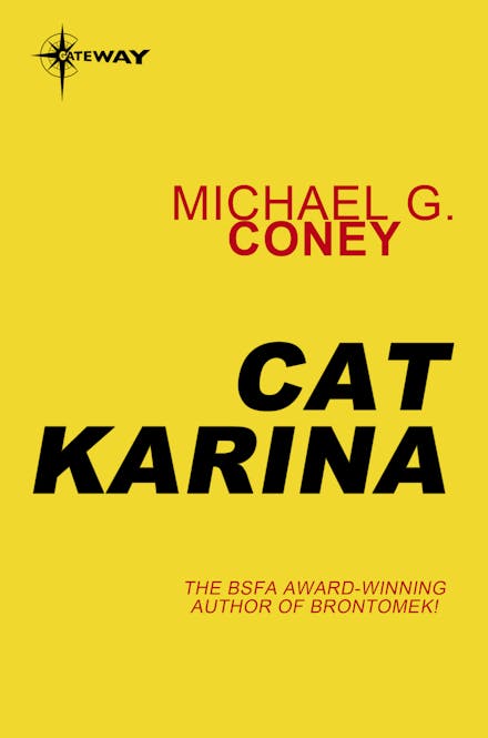 Cat Karina