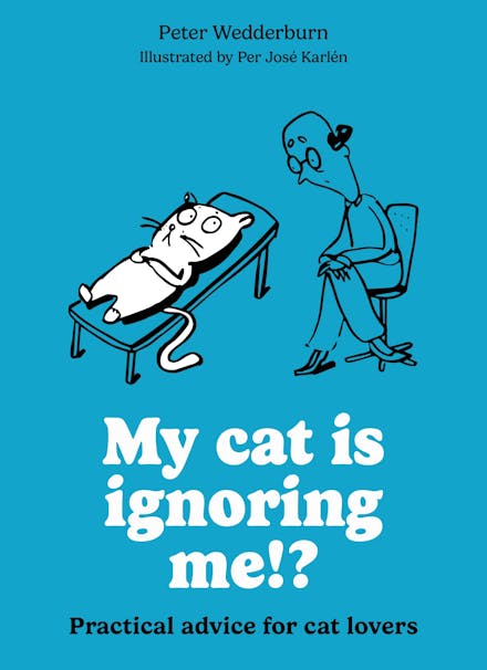 My Cat is Ignoring Me!