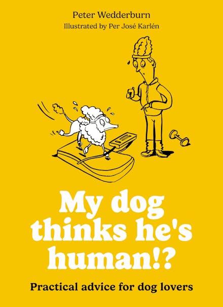 My Dog Thinks He's Human!