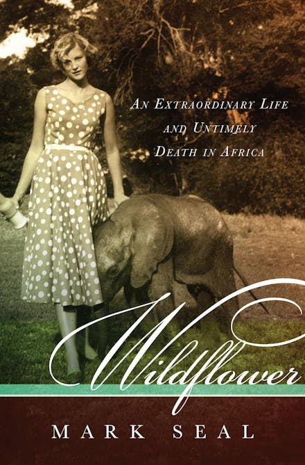 Wildflower