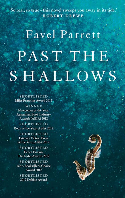 Past the Shallows