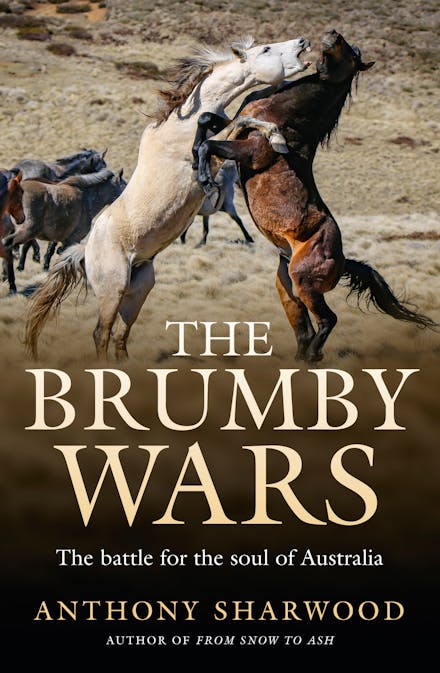 The Brumby Wars