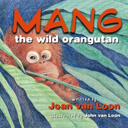 Mang the Wild Orangutan