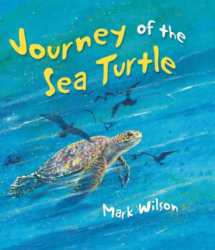 Journey of the Sea Turtle