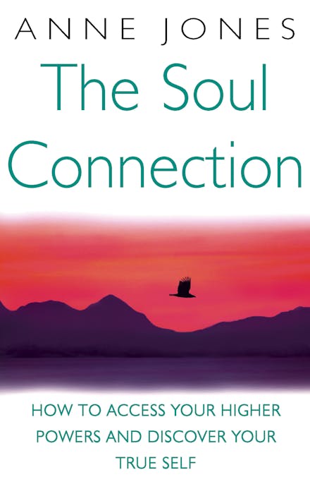 The Soul Connection