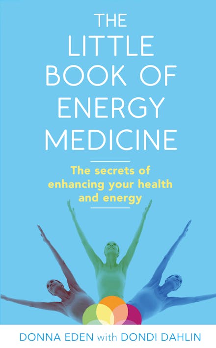 The Little Book of Energy Medicine
