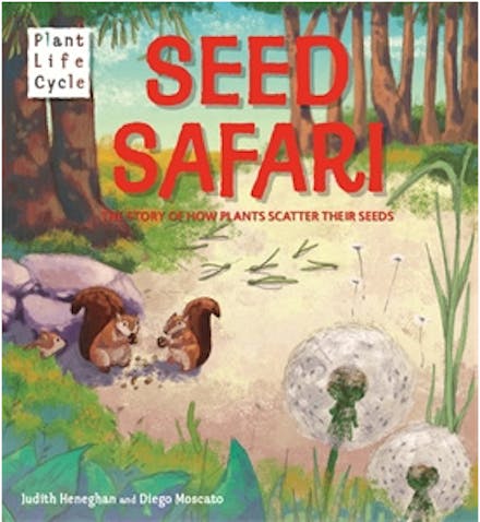 Plant Life: Seed Safari
