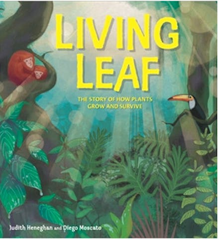 Plant Life: Living Leaf