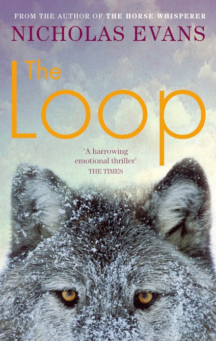 The Loop