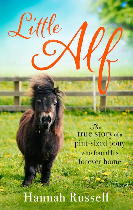 Little Alf