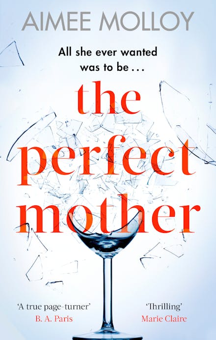The Perfect Mother
