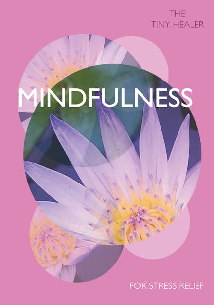 Tiny Healer: Mindfulness