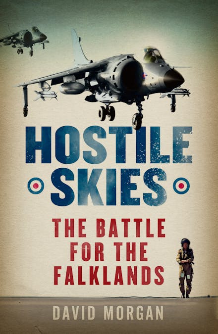 Hostile Skies