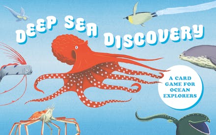 Deep Sea Discovery