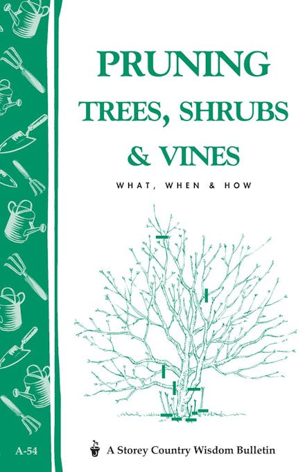 Pruning Trees, Shrubs & Vines