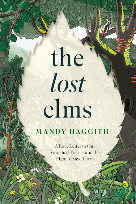 The Lost Elms: A Love Letter to Our Vanished Trees   and the Fight to Save Them