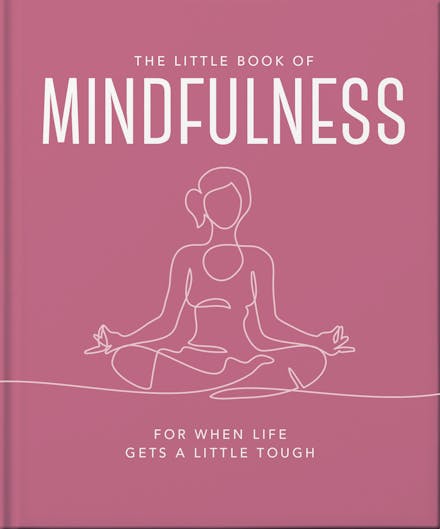 The Little Book of Mindfulness