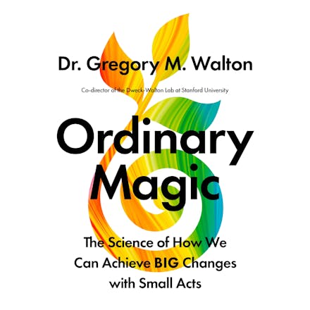 Ordinary Magic