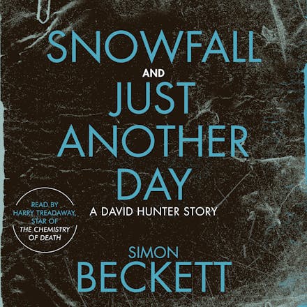 Snowfall & Just Another Day
