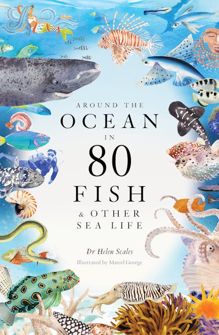Around the Ocean in 80 Fish and other Sea Life