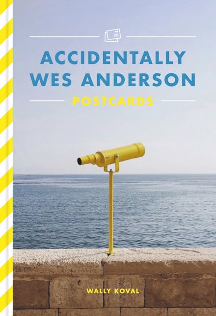 Accidentally Wes Anderson