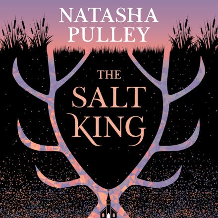 The Salt King