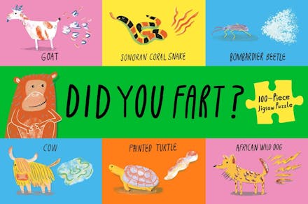Did You Fart? Jigsaw Puzzle