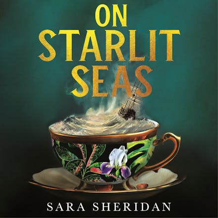On Starlit Seas