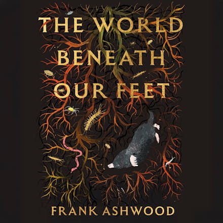The World Beneath Our Feet
