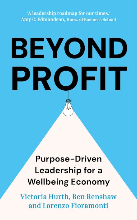 Beyond Profit